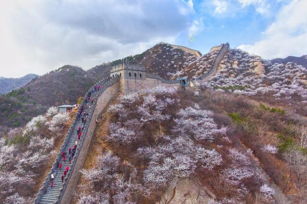[bsports网页版登录官方入口]