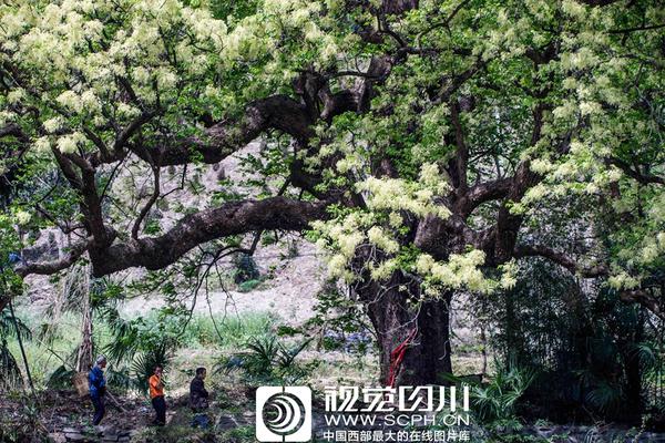 狂野西部和巫师游戏配置怎么样
