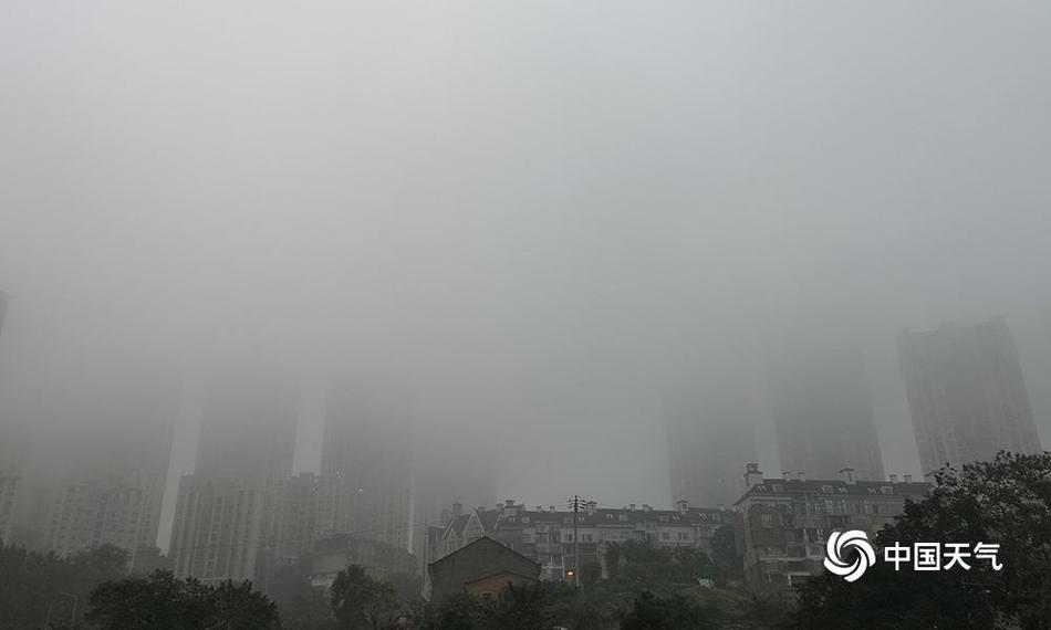 ENCODYA游戏有什么特色内容