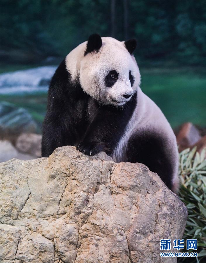 我的世界冰火传说铁链怎么做