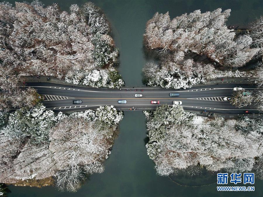 极限竞速地平线4马拉松点数怎么获得